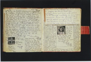 Pages from the original diary