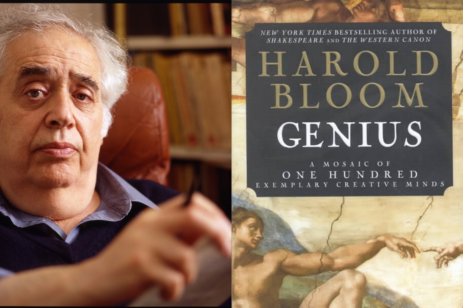 Bloom & Genius for What Do We Really Want to Know About a Writer?